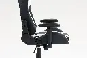 Gladius White 103.webp