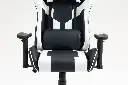 Gladius White 508.webp