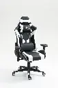 Gladius White 13.webp