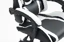 Tachi White 10.webp